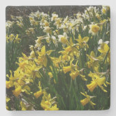 Gele en witte deffodils Spring Flowers Stenen Onderzetter (Voorkant)