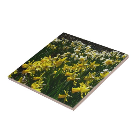 Gele en witte deffodils Spring Flowers Tegeltje (Zijkant)