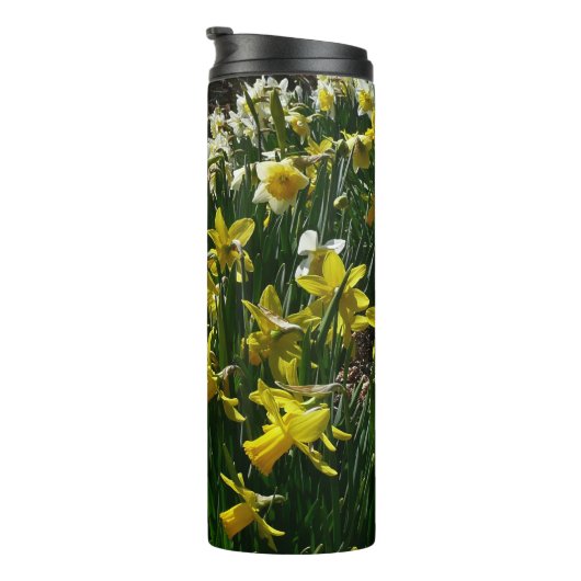 Gele en witte deffodils Spring Flowers Thermosbeker (Geroteerd rechts)