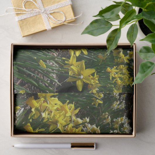 Gele en witte deffodils Spring Flowers Tissuepapier (Geschenk)