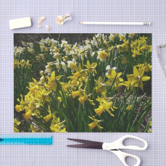 Gele en witte deffodils Spring Flowers Tissuepapier (Craft)