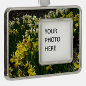Gele en witte deffodils Spring Flowers Verzilverd Omlijst Ornament (Rechts)