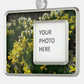 Gele en witte deffodils Spring Flowers Verzilverd Omlijst Ornament (Links)