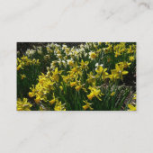 Gele en witte deffodils Spring Flowers Visitekaartje (Achterkant)