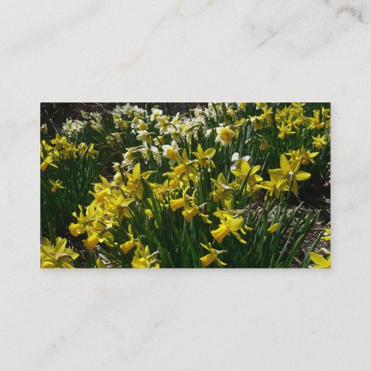 Gele en witte deffodils Spring Flowers Visitekaartje (Achterkant)