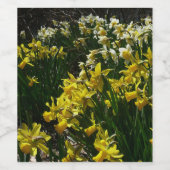 Gele en witte deffodils Spring Flowers Wijn Etiket (Enkel label)