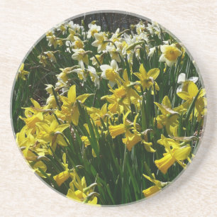 Gele en witte deffodils Spring Flowers Zandsteen Onderzetter