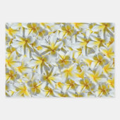 Gele en witte Frangipani-bloemen, Inpakpapier Vel (Voorkant 2)
