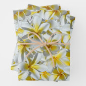 Gele en witte Frangipani-bloemen, Inpakpapier Vel (In situ)