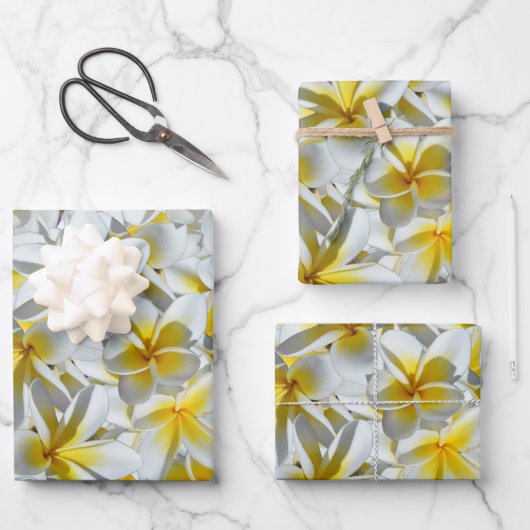 Gele en witte Frangipani-bloemen, Inpakpapier Vel (Voorkant)