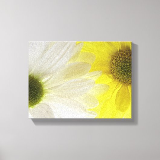 Gele en Witte Madeliefjes Canvas Afdruk (Voorkant)