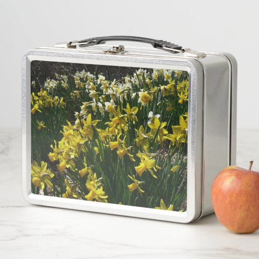 Gele en witte narcissen (In situ)