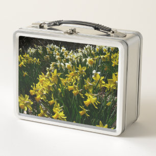 Gele en witte narcissen