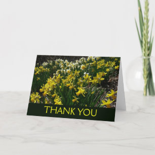 Gele en Witte Narcissen Lente Bloemen Bedankkaart
