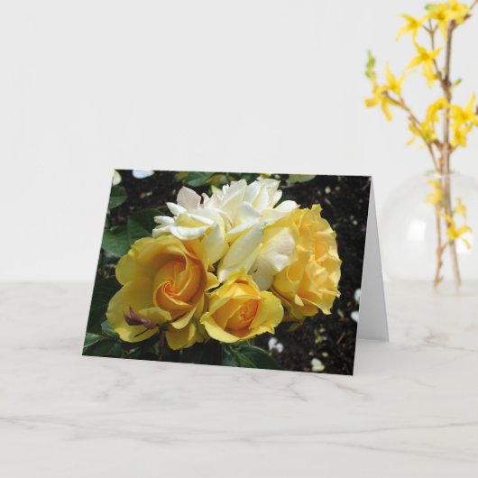Gele en witte rozen kaart (Gele Bloem)