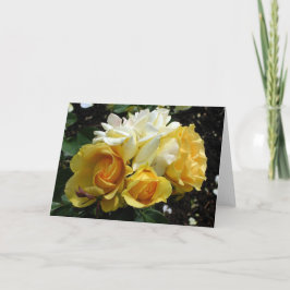 Gele en witte rozen kaart