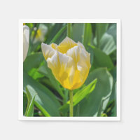 Gele en witte tulp