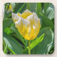 Gele en witte tulpen harde plastic onderzetters