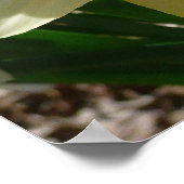 Gele en witte vetrol poster (Hoek)