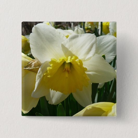 Gele en witte vetrol vierkante button 5,1 cm (Voorkant)