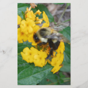 gele en zwarte bij gele bloem briefpapier