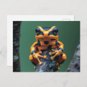 Gele en zwarte boomkikker briefkaart (Voorkant / Achterkant)