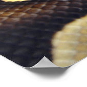 Gele en zwarte doornbuis 3 poster (Hoek)