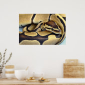 Gele en zwarte doornbuis 3 poster (Keuken)