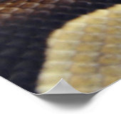 Gele en zwarte doornbuis 3 poster (Hoek)