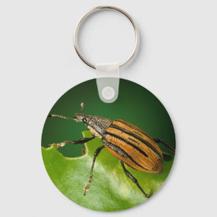 Gele en zwarte snuitkever sleutelhanger
