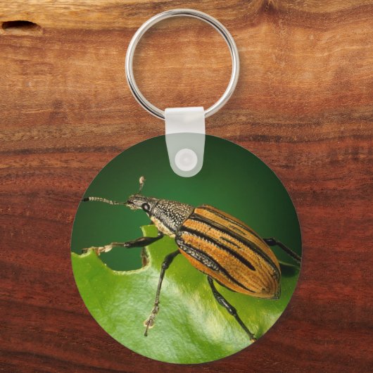 Gele en zwarte snuitkever sleutelhanger (Voorkant)