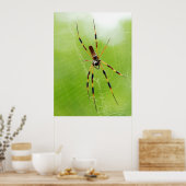 Gele en zwarte spin (groene achtergrond) poster (Keuken)