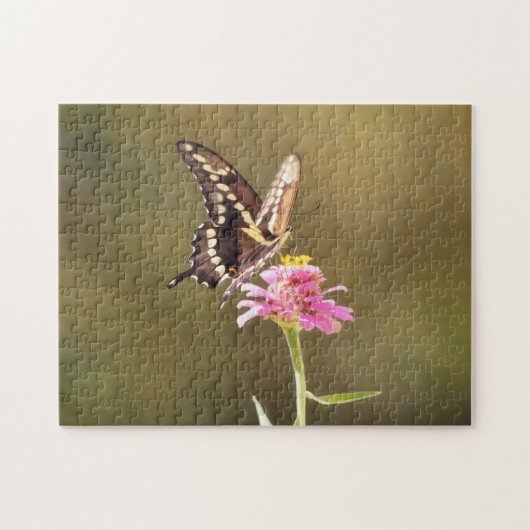 Gele en Zwarte Vlinder Bloem Natuur Puzzel (Horizontaal)