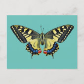 Gele en zwarte vlinder briefkaart (Voorkant)