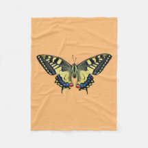 Gele en zwarte vlinder