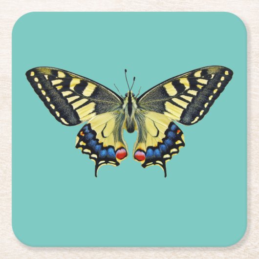 Gele en zwarte vlinder kartonnen onderzetters (Voorkant)