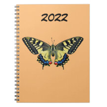 Gele en zwarte vlinder