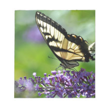 Gele en zwarte vlinder op lavendel