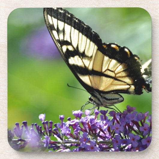Gele en zwarte vlinder op lavender drankjes onderzetter (Voorkant)