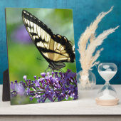 Gele en zwarte vlinder op lavender fotoplaat (Zijkant)