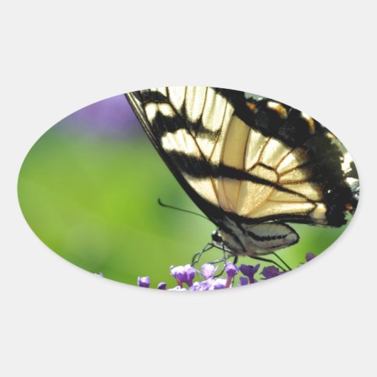Gele en zwarte vlinder op lavender ovale sticker (Voorkant)