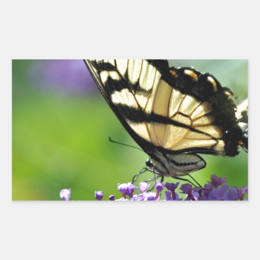 Gele en zwarte vlinder op lavender rechthoekige sticker (Voorkant)