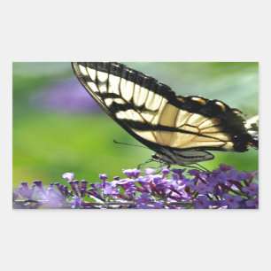 Gele en zwarte vlinder op lavender rechthoekige sticker