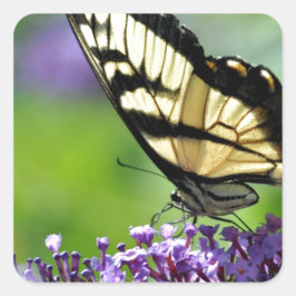 Gele en zwarte vlinder op lavender vierkante sticker