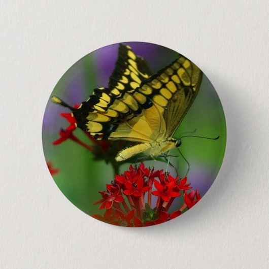 Gele en zwarte vlinder ronde button 5,7 cm (Voorkant)