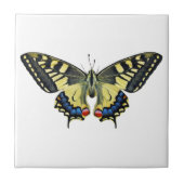 Gele en zwarte vlinder tegeltje (Voorkant)