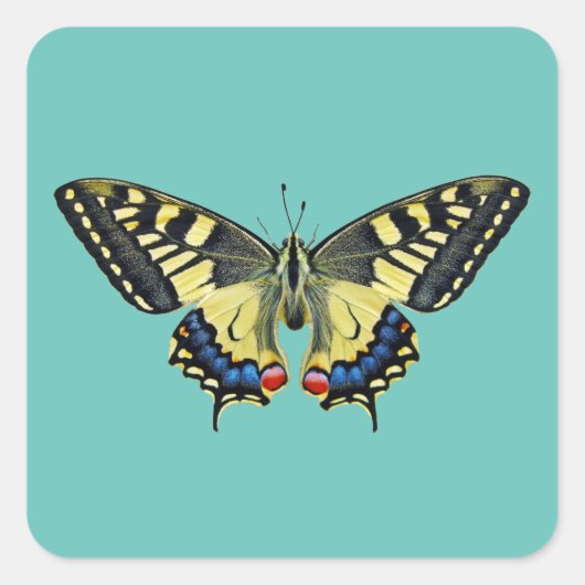 Gele en zwarte vlinder vierkante sticker (Voorkant)