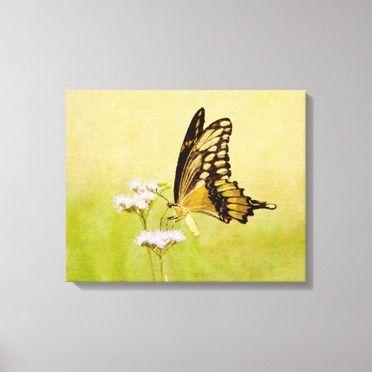 Gele en Zwarte Vlinder Wildflower Art Print (Voorkant)