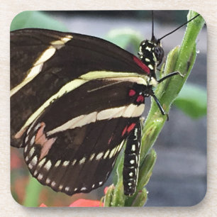 Gele en Zwarte vlindervleugels Drankjes Onderzetter