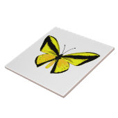 Gele en zwarte vogelvleugelvlinder tegeltje (Zijkant)